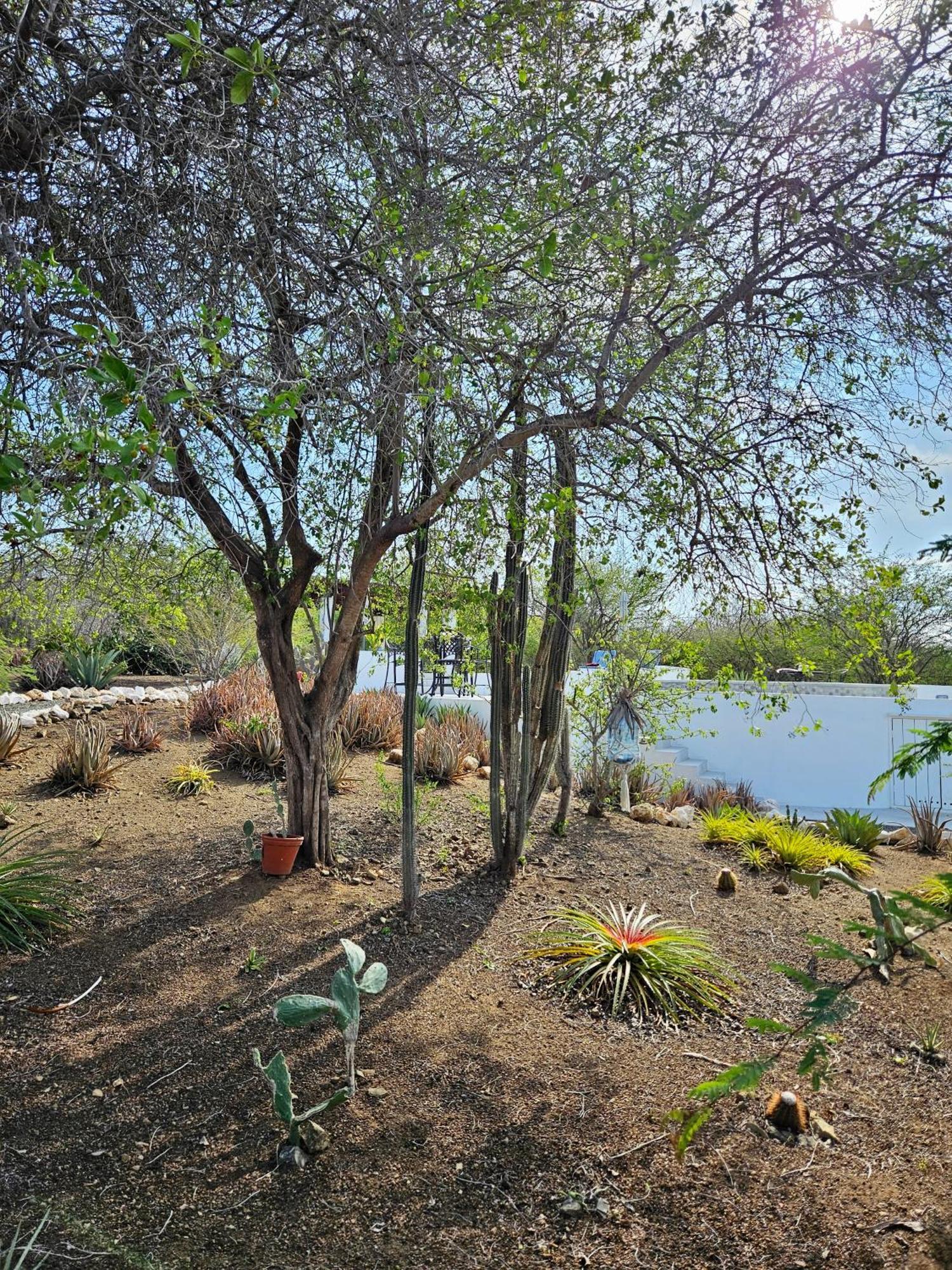 Villa San Sebastian Curacao Fontein Екстериор снимка